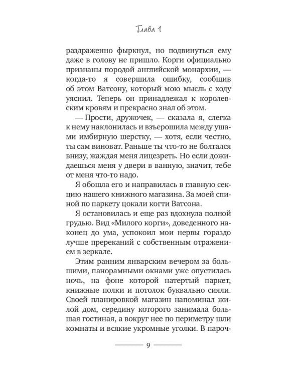 Корги-детектив: сварливые пташки