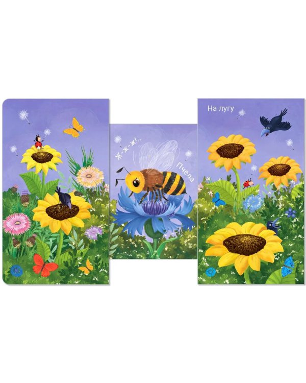 Кто где живет?