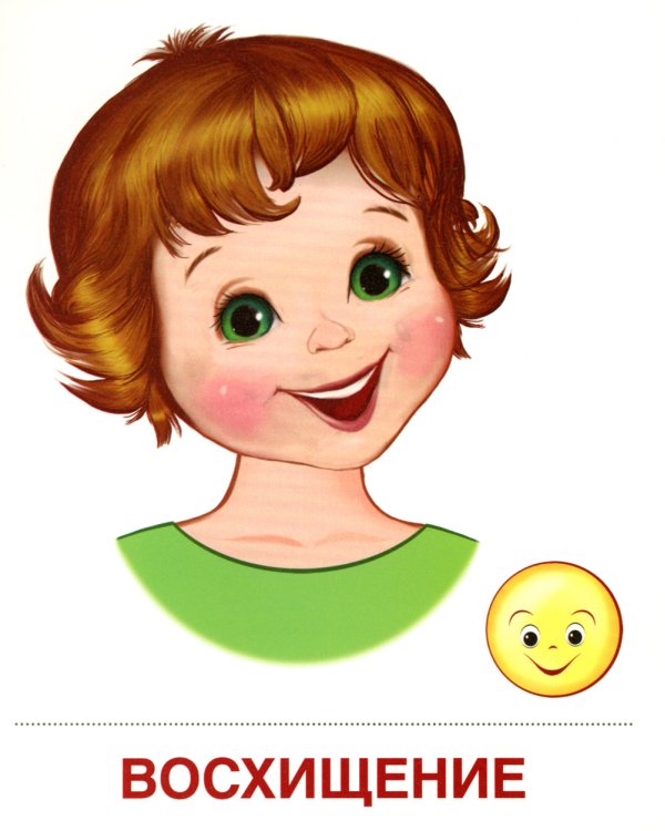 Демонстрационные картинки "Эмоции" (173х220мм)