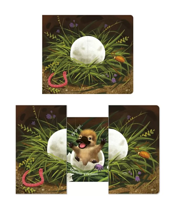 Кто там  внутри?