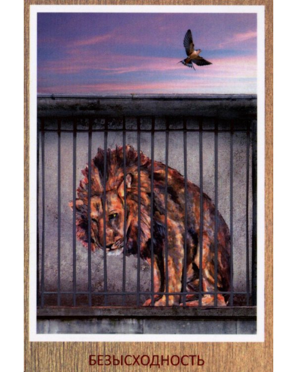 Метафорические карты для саморазвития. Источник древней мудрости (методичка) книга + карты