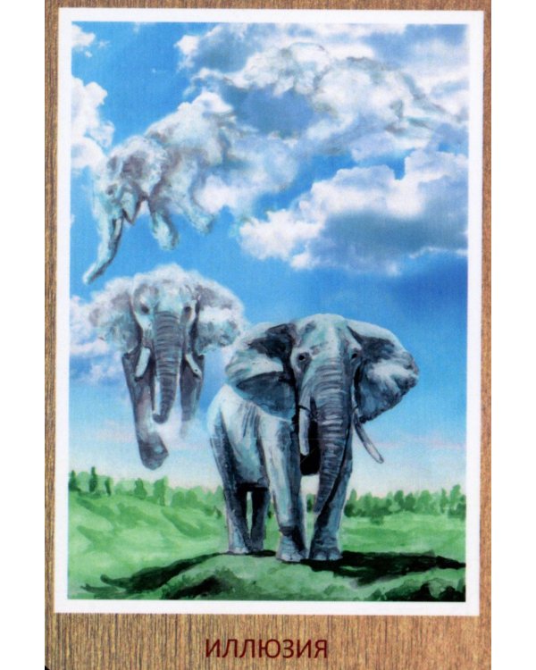 Метафорические карты для саморазвития. Источник древней мудрости (методичка) книга + карты