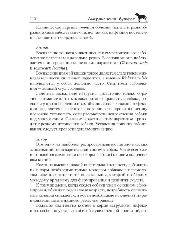 Американский бульдог