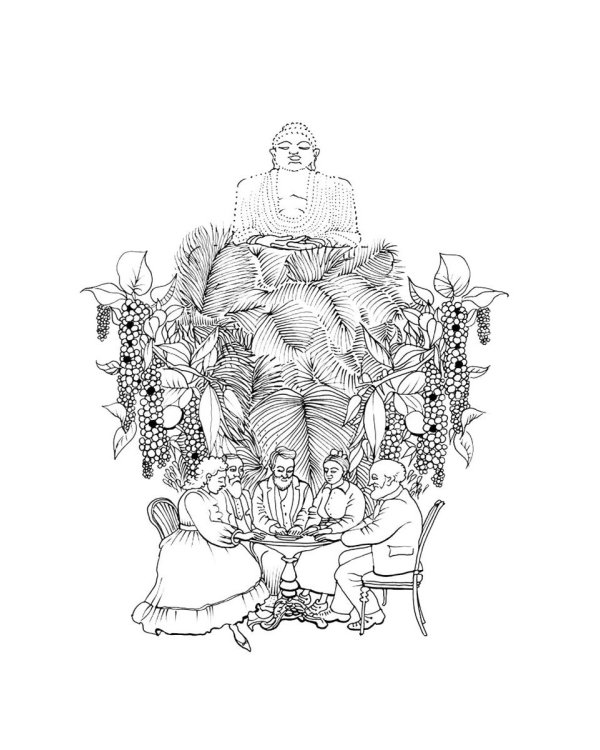 Белый снег Колумбии