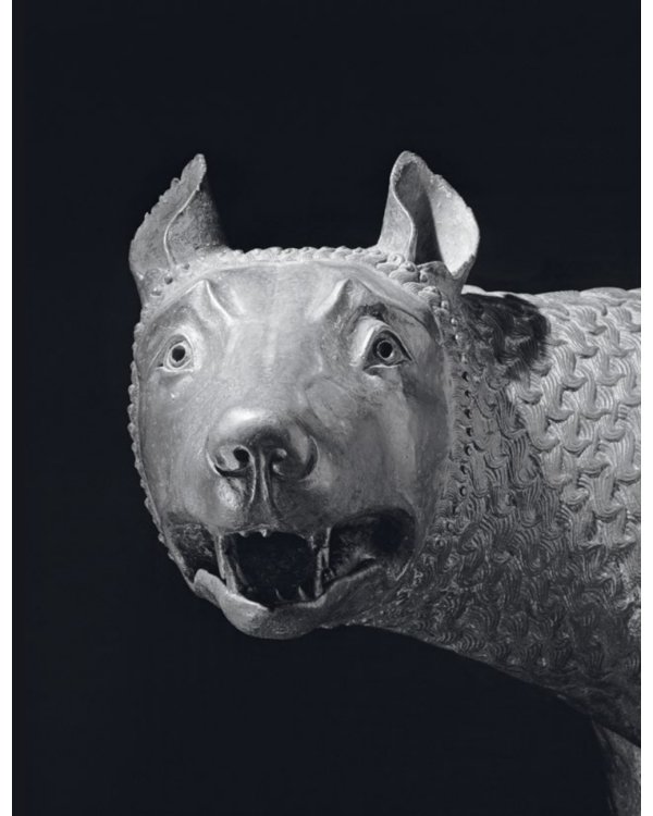 Волк. Культурная история