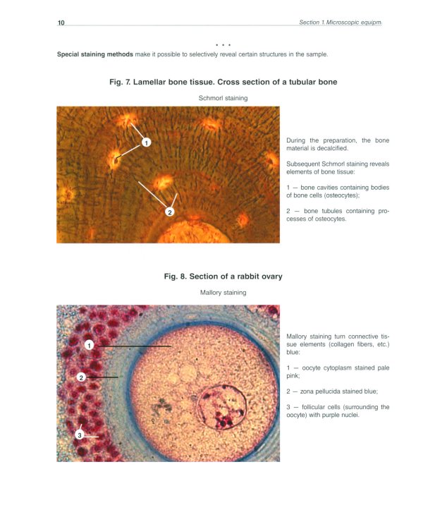 Atlas of Histology, Cytology and Embryology