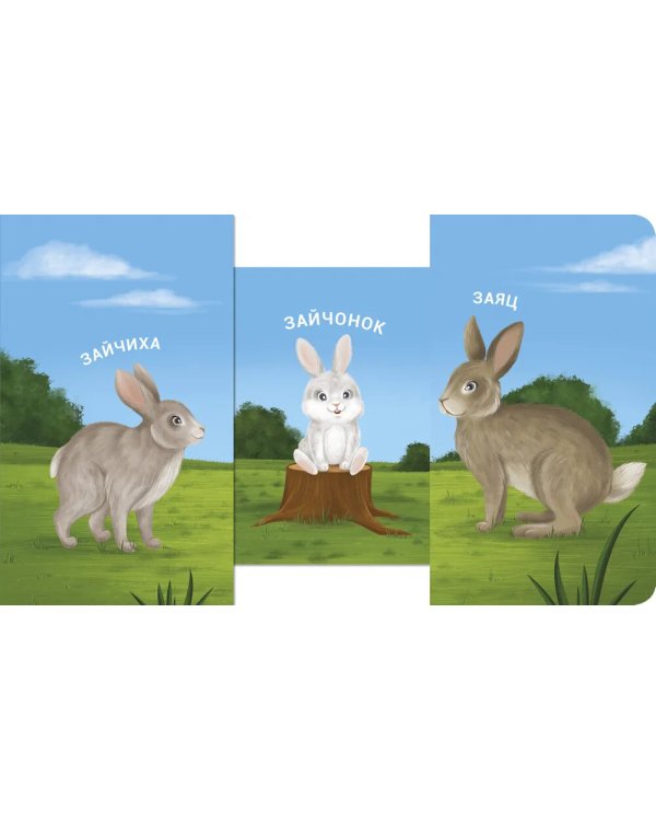 Мама, папа и малыш. Дикие животные