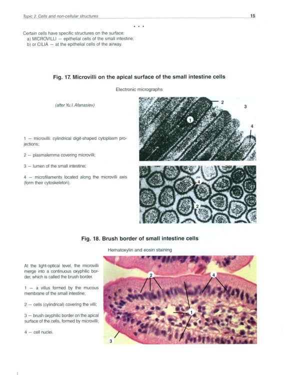 Atlas of Histology, Cytology and Embryology