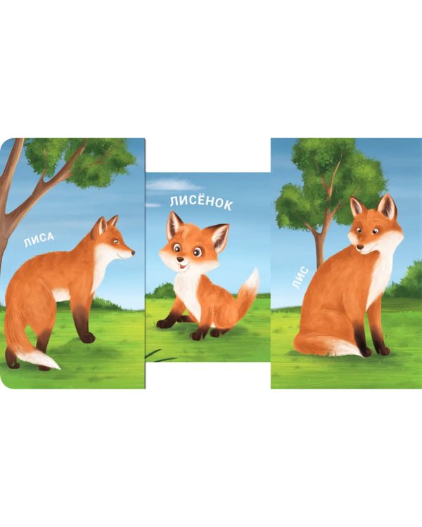 Мама, папа и малыш. Дикие животные