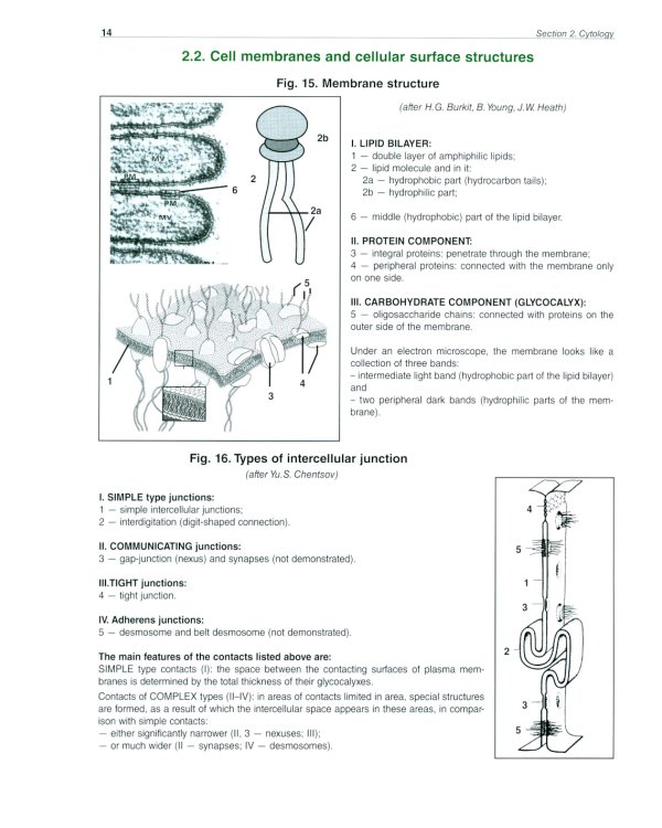 Atlas of Histology, Cytology and Embryology