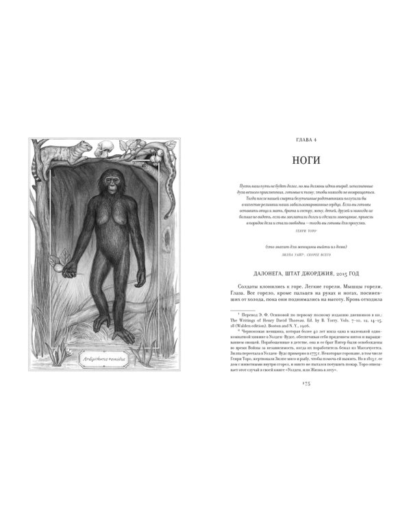 ЕВА. История эволюции женского тела. История человечества