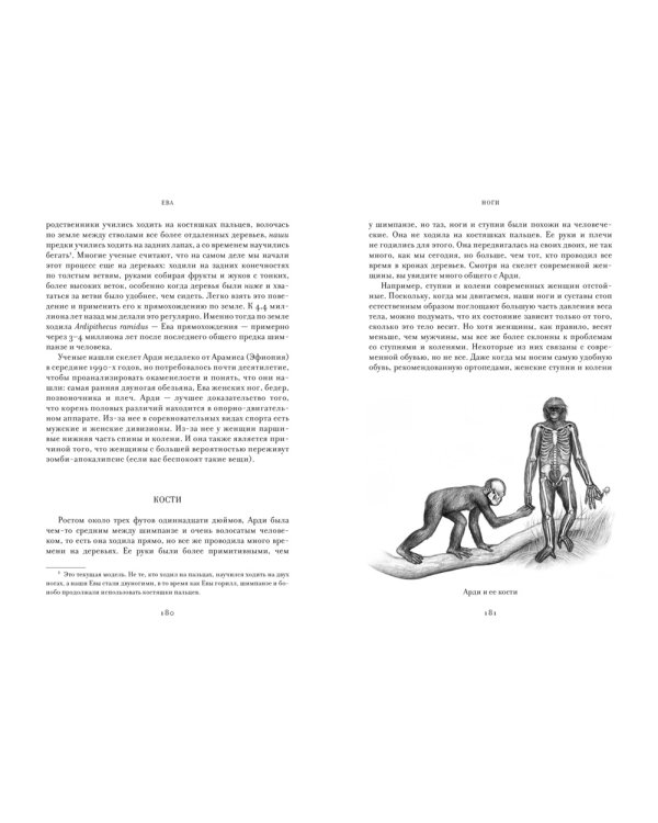 ЕВА. История эволюции женского тела. История человечества