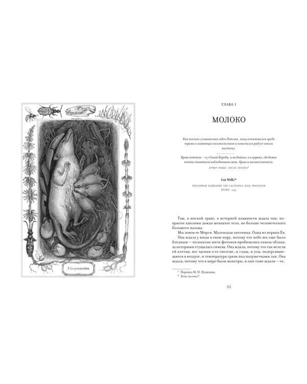 ЕВА. История эволюции женского тела. История человечества