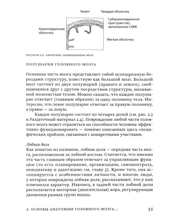Поговорим о реабилитации при заболеваниях и травмах головного мозга. Пособие для специалистов