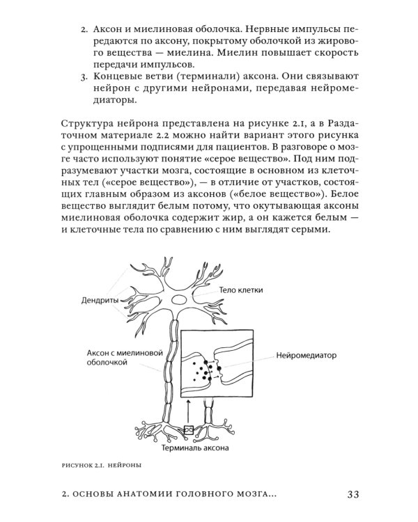 Поговорим о реабилитации при заболеваниях и травмах головного мозга. Пособие для специалистов