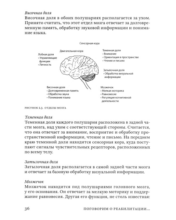 Поговорим о реабилитации при заболеваниях и травмах головного мозга. Пособие для специалистов