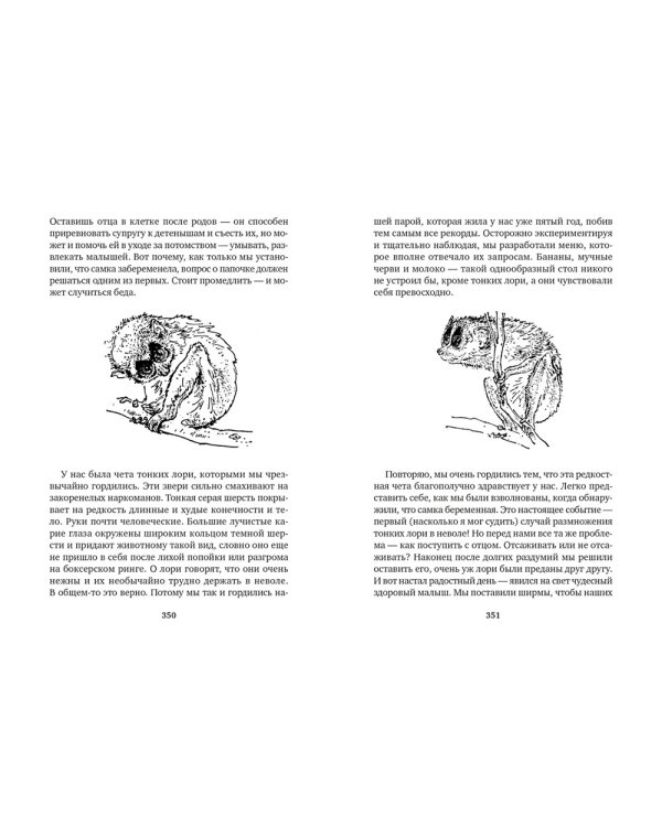 Земля шорохов. Поместье-зверинец