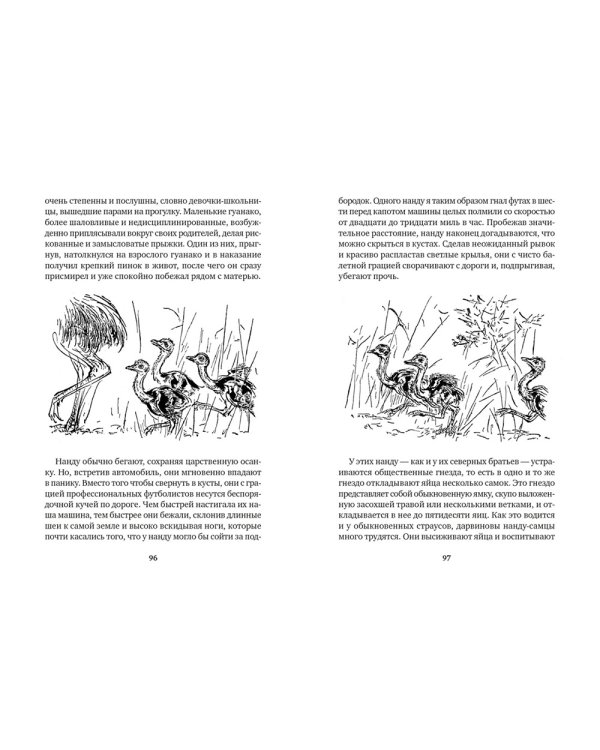 Земля шорохов. Поместье-зверинец