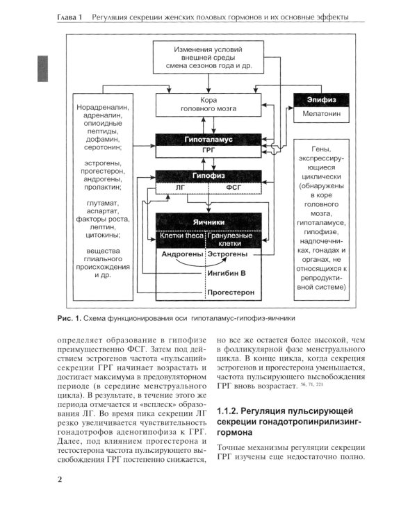 Гинекологическая эндокринология: патофизиологические основы