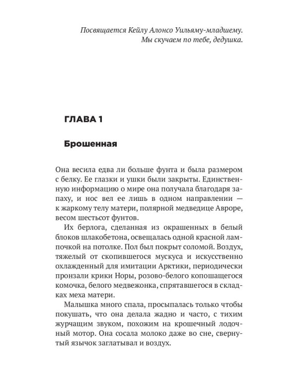 Самый одинокий полярный мишка