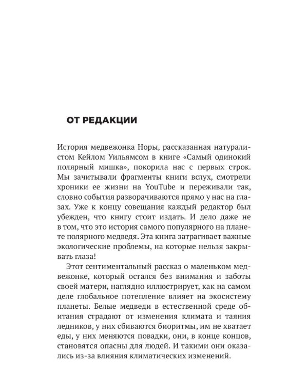 Самый одинокий полярный мишка