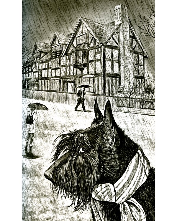 Истории со счастливым хвостом