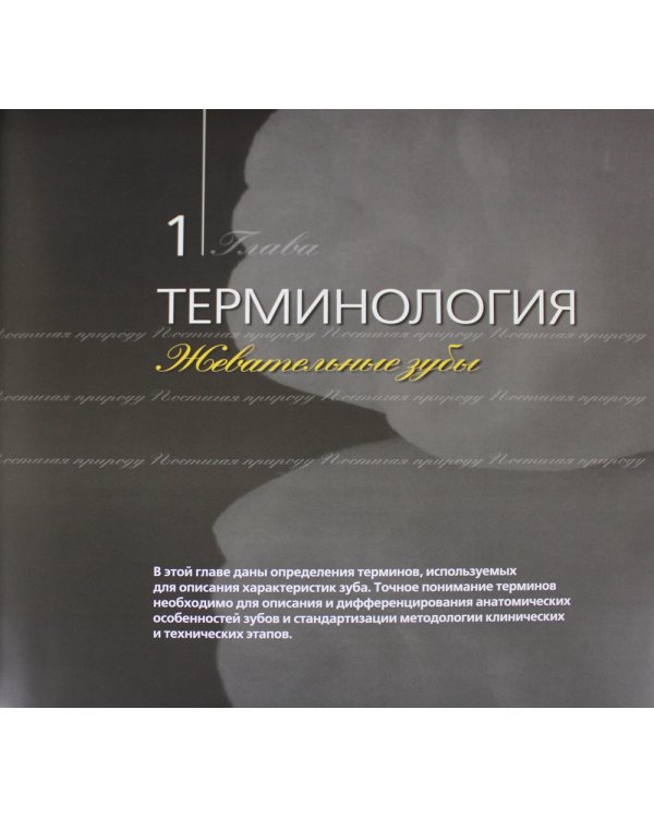 Постигая природу. Восковое моделирование эстетичных и функциональных окклюзионных поверхностей