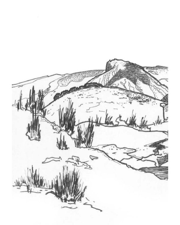 Светящиеся ворота