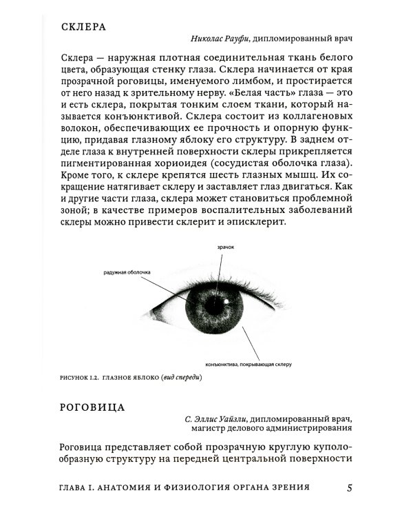Поговорим о зрении: Все о наших глазах