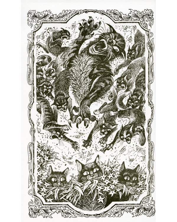 Коты-воители. Сверкающая Звезда