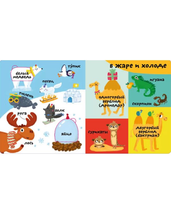 Мои первые 100 слов с большими окошками. Такие разные животные