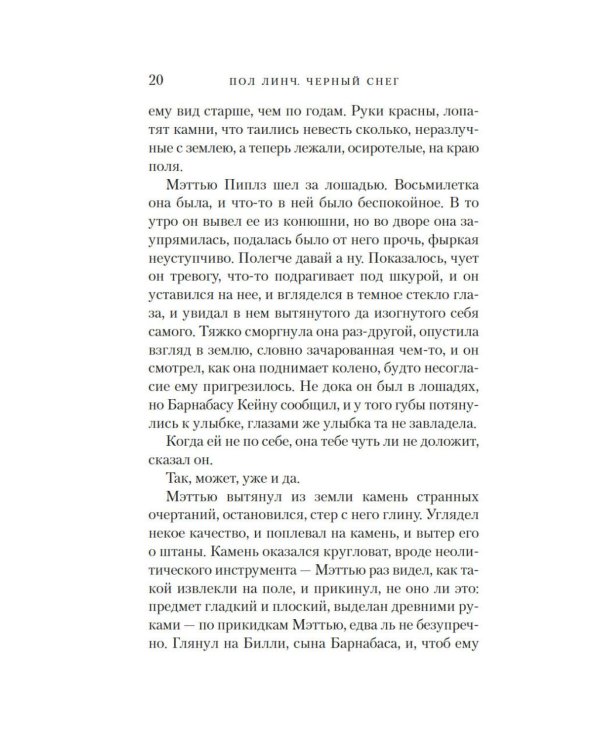 Черный снег: роман