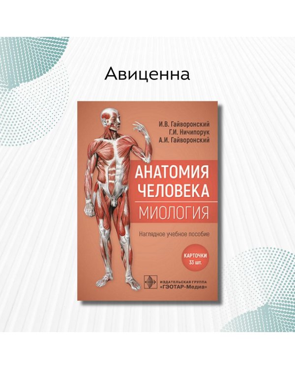 Анатомия человека. Миология. Комплект карточек. Наглядное учебное пособие