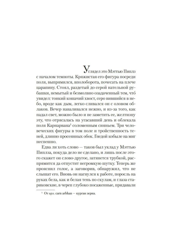 Черный снег: роман