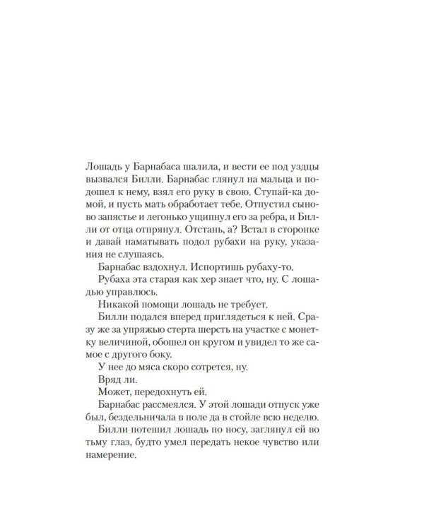 Черный снег: роман