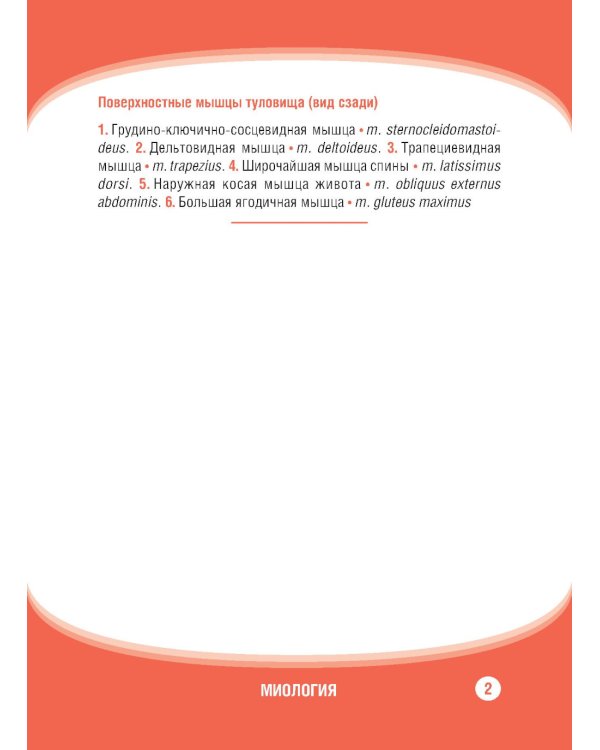 Анатомия человека. Миология. Карточки: наглядное учебное пособие