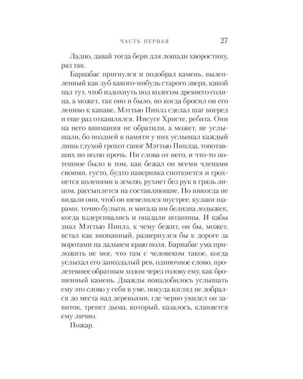 Черный снег: роман