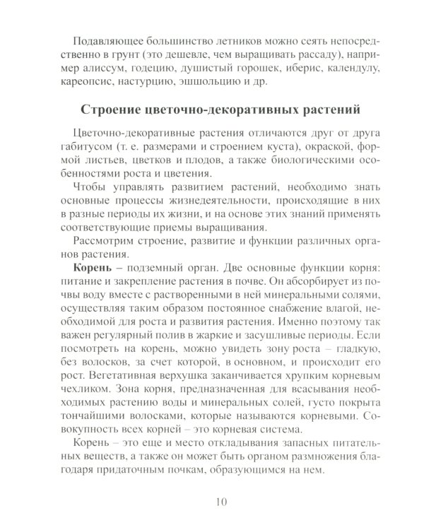 Цветы на Камчатке: летники