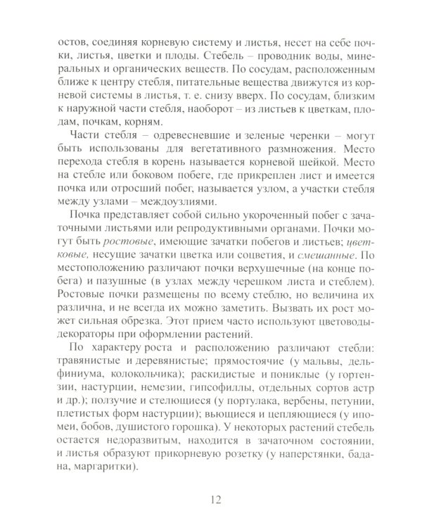 Цветы на Камчатке: летники