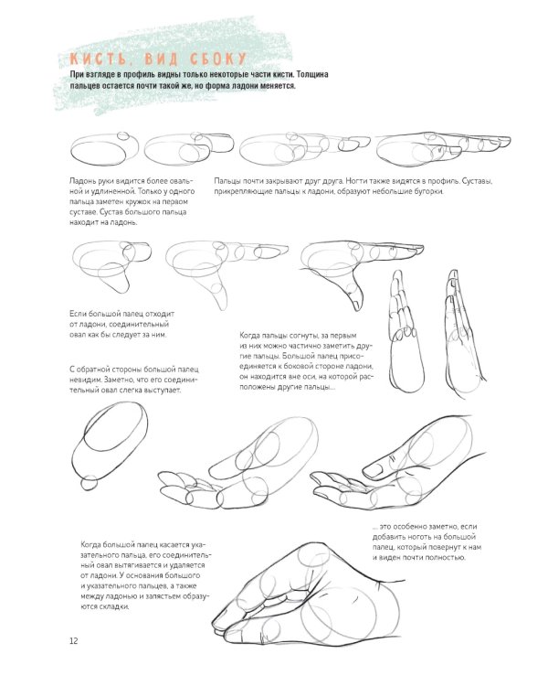 Рисуем кисти рук и стопы шаг за шагом. 50 проектов с подробными объяснениями и рисунками: Скетчбук начинающего художника (оранжевая обложка)