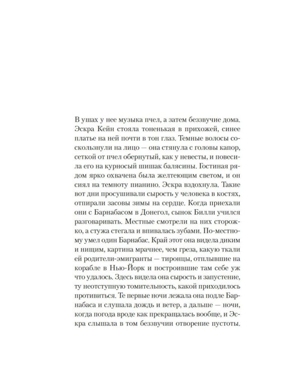 Черный снег: роман