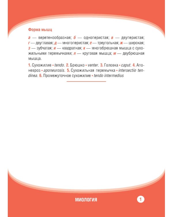 Анатомия человека. Миология. Карточки: наглядное учебное пособие