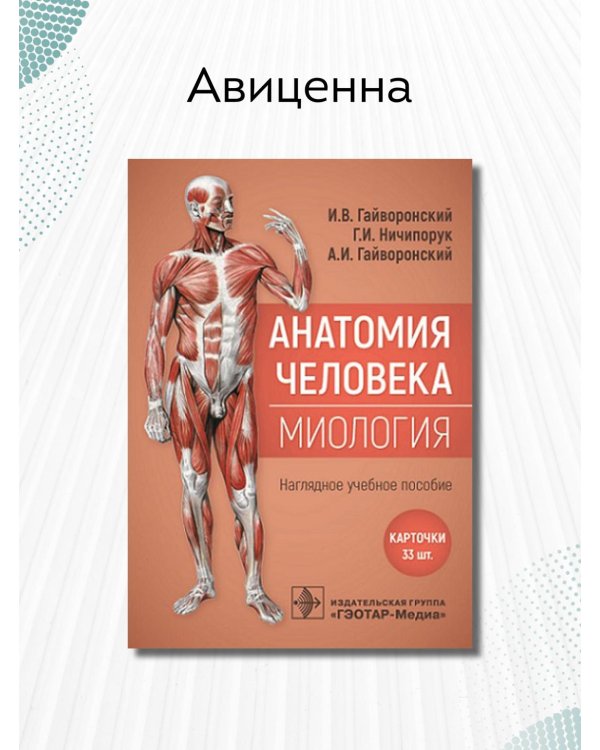 Анатомия человека. Миология. Комплект карточек. Наглядное учебное пособие