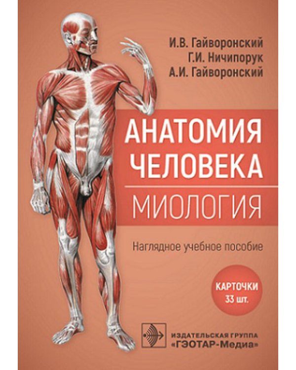Анатомия человека. Миология. Карточки: наглядное учебное пособие
