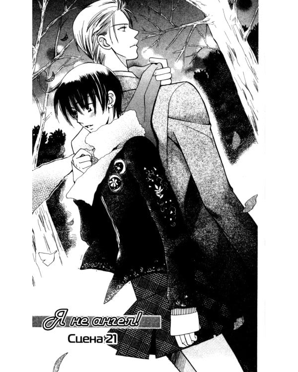 Я не ангел. Т. 5