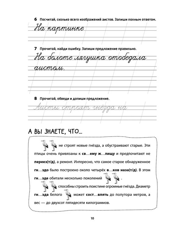 Логоментальные прописи и тренажеры для начальной школы. Птицы: 2-4 класс