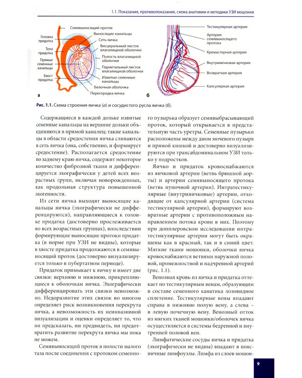 Ультразвуковая диагностика в детской андрологии и гинекологии. Неотложные состояния