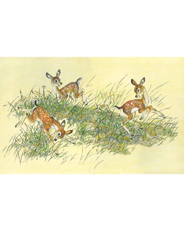 Бемби. Лесная сказка