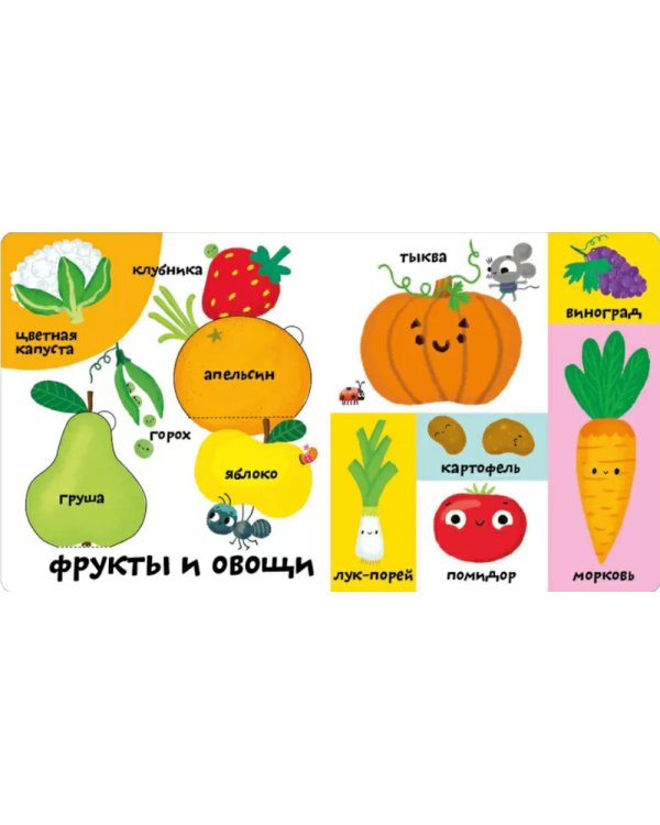 Мои первые 100 слов с большими окошками. Ферма