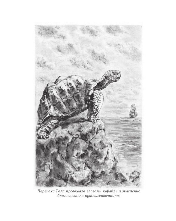 MTA IV. Путешествия капитана Александра. Киты и люди